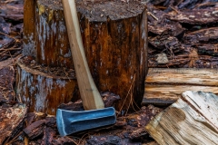 Brent_Bailey_Forge_DSC02413