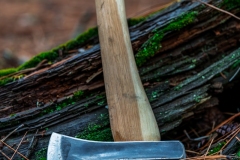 Brent_Bailey_Forge_DSC02475