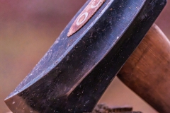 Brent_Bailey_Forge_DSC02800